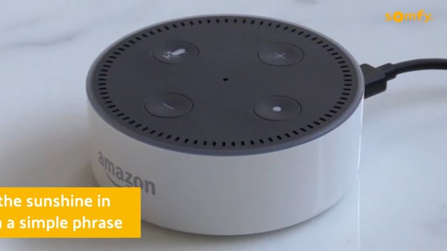 Alexa smart hub on a table controlling remote blinds